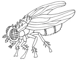 Vorschau - Mal- und Bastelvorlagen - Insekten - Kreative Ausmalbilder Handgezeichnet - Seite 2