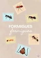 Vista previa - Unidades / Secuencias / Situaciones de Aprendizaje - El llibre dels insectes - página 3