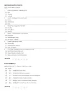Aperçu - Matériel pour travaux manuels / dessin - Paddington (fiches de travail en anglais sur le film) - Page 2