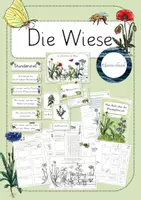 Vorschau - Unterrichtsreihen - Die Wiese - umfangreiche, differenzierte Unterrichtseinheit - Deckblatt