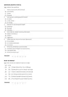 Aperçu - Feuilles d'exercices - The Karate Kid Part III (fiches de travail en anglais sur le film) - Page 2