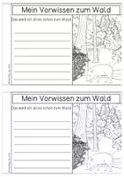 Vorschau - Arbeitsblätter - Wald - Forscherheft - Seite 2