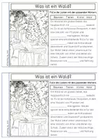 Vorschau - Arbeitsblätter - Wald - Forscherheft - Seite 3