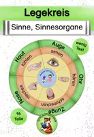 Vorschau - Poster - Legekreis Sinne Sinnesorgane Sachunterricht Klasse 3 Klasse 4 - Deckblatt