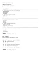 Aperçu - Matériel pour travaux manuels / dessin - Wayne's World 2 (fiches de travail en anglais sur le film) - Page 2