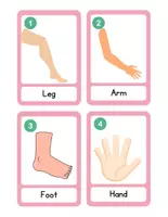 Vista previa - Juegos / Gamificación - Write the room! Parts of the Body & Face - página 2