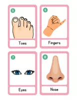 Vista previa - Juegos / Gamificación - Write the room! Parts of the Body & Face - página 3