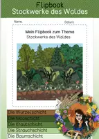 Vorschau - Arbeitsblätter - Flipbook - Stockwerke des Waldes - Deckblatt