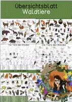 Vorschau - Arbeitsblätter - Übersichtsblätter - Waldtiere - Deckblatt