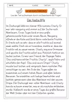 Vorschau - Arbeitsblätter - Leseverständnis 2. Klasse "Der freche Affe" - Deckblatt