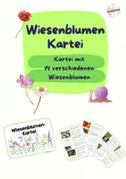 Vorschau - Poster - Infokartei Wiesenblumen (mit 14 verschiedenen Wiesenblumen) - Deckblatt