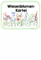Vorschau - Poster - Infokartei Wiesenblumen (mit 14 verschiedenen Wiesenblumen) - Seite 2