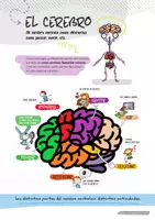 Vista previa - Unidades / Secuencias / Situaciones de Aprendizaje - De los Pies a la Cabeza. Un viaje por el cuerpo humano. - página 2
