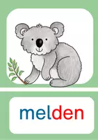 Vorschau - Bildkarten - Klassenregeln Koala - Seite 2