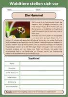 Vorschau - Stundenentwürfe - Ultimatives Materialpaket - ALLE Materialien! - Seite 3