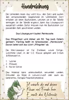 Vorschau - Arbeitsblätter - Pfingsten | Mini-Lesespur | 3-fach differenziert | Klasse 1-2 - Seite 1
