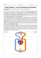 Vorschau - Stundenentwürfe - Herz-Kreislaufsystem Mensch - Unterrichtsstunde mit Arbeitsblatt - Seite 1