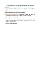 Vorschau - Stundenentwürfe - Herz-Kreislaufsystem Mensch - Unterrichtsstunde mit Arbeitsblatt - Seite 3