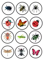 Vista previa - Tarjetas / Manipulativos - Animales ocultos - página 1