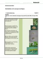 Vorschau - Arbeitsblätter - Bohne - Arbeitsblätter mit Lösungen - Deckblatt