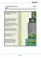 Vorschau - Arbeitsblätter - Bohne - Arbeitsblätter mit Lösungen - Seite 1