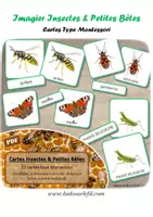 Aperçu - Apprentissages en autonomie - Cartes - Insectes et Petites Bêtes - Fond blanc - Page de couverture