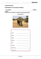 Vorschau - Arbeitsblätter - Elefanten - Arbeitsblätter mit Lösungen - Deckblatt