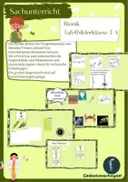 Vorschau - Präsentationen/Tafelbilder - Bionik_Tafelbilder_Sachunterricht_Klasse 3-4 - Deckblatt