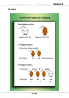 Vorschau - Arbeitsblätter - Genetik - Farbfolien - Deckblatt