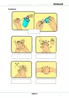 Vorschau - Arbeitsblätter - Hygiene - Farbfolien - Deckblatt