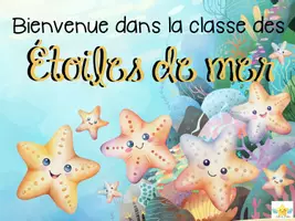 Aperçu - Affichage - Affichage de bienvenue- étoiles de mer - Page de couverture