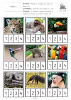 Aperçu - Préparation de séquence / Séquence complète - Exploitation complète : La légende du colibri - Page 1