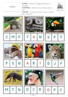 Aperçu - Préparation de séquence / Séquence complète - Exploitation complète : La légende du colibri - Page 2