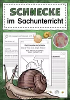 Vorschau - Arbeitsblätter - Die Schnecke im Sachunterricht - Deckblatt