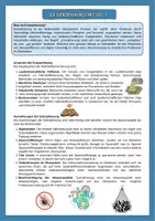 Vorschau - Arbeitsblätter - Ökosystem See - Eutrophierung eines Sees differenziert mit Schaubildern mit Lösung (Klasse 6 7 8) - Seite 1