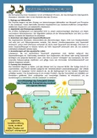 Vorschau - Arbeitsblätter - Ökosystem See - Eutrophierung eines Sees differenziert mit Schaubildern mit Lösung (Klasse 6 7 8) - Deckblatt