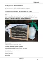 Vorschau - Arbeitsblätter - Regenwurm - Ergänzende Aufgaben mit Lösungen - Deckblatt