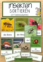 Vorschau - Anderer Materialtyp - Insekten – Sortieren (21 Tafelbildkarten) - Deckblatt