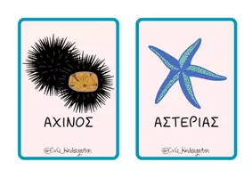 Προεπισκόπηση - Flashcards - Κάρτες με ζώα της θάλασσας - Σελίδα 2