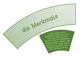 Vorschau - Anderer Materialtyp - Insekten - Legekreis 2 (schwierige Version) - Seite 3