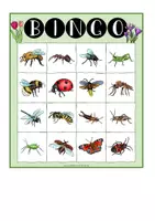 Vorschau - Anderer Materialtyp - Insekten – Bingo-Spiel (dreifachdifferenziert) - Seite 1