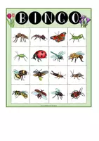 Vorschau - Anderer Materialtyp - Insekten – Bingo-Spiel (dreifachdifferenziert) - Seite 2