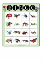 Vorschau - Anderer Materialtyp - Insekten – Bingo-Spiel (dreifachdifferenziert) - Seite 3