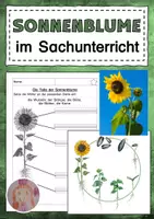 Vorschau - Arbeitsblätter - Sonnenblume - Deckblatt
