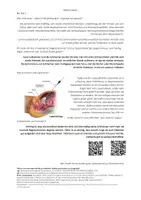 Vorschau - Arbeitsblätter - Endometriose - Interview mit Betroffenen - Seite 2