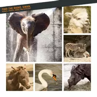 Vorschau - Mal- und Bastelvorlagen - WordsOfBub Geschichtenwürfel Zoo - Seite 2