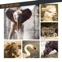 Vorschau - Mal- und Bastelvorlagen - WordsOfBub Geschichtenwürfel Zoo - Seite 1