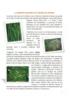 anteprima - Schede informative - Il labirinto di bambù più grande al mondo scheda didattica - Pagina di copertina