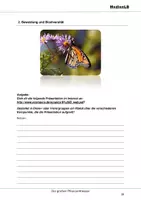 Vorschau - Arbeitsblätter - Die großen Pflanzenfresser - Ergänzende Aufgaben mit Lösungen - Seite 2