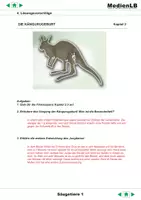 Vorschau - Arbeitsblätter - Säugetiere I, II - Lösungsvorschläge - Seite 3